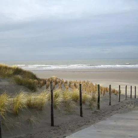 Vroondaal - Buitengewoon vrij