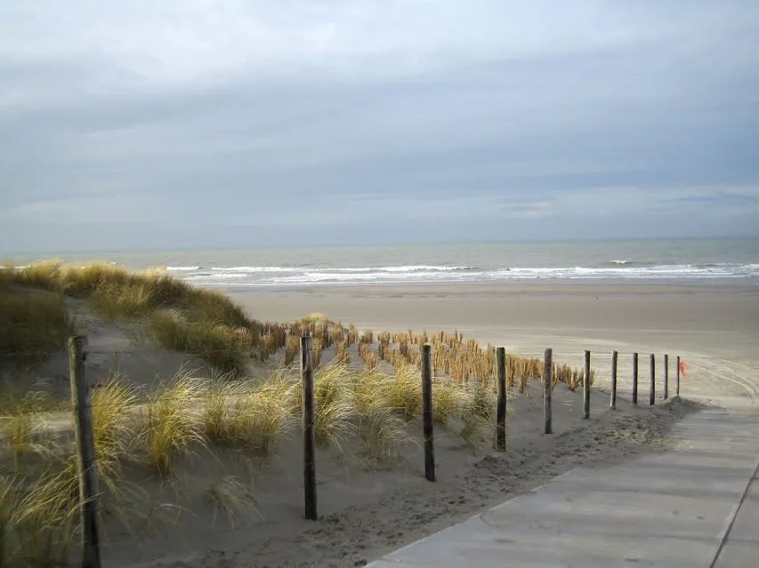 Vroondaal - Buitengewoon vrij