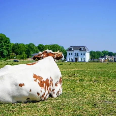 Vroondaal - Buitengewoon vrij