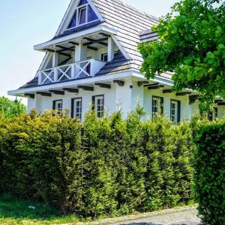 Vroondaal - Buitengewoon vrij