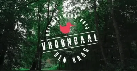 Vroondaal in Vogelvlucht