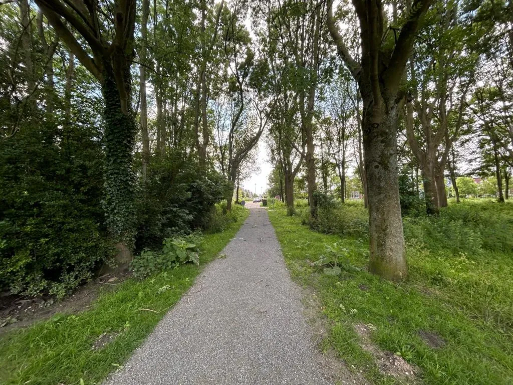 Vroondaal - Buitengewoon vrij